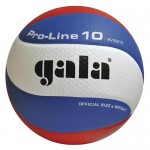 Мяч волейбольный Gala Pro-Line 10